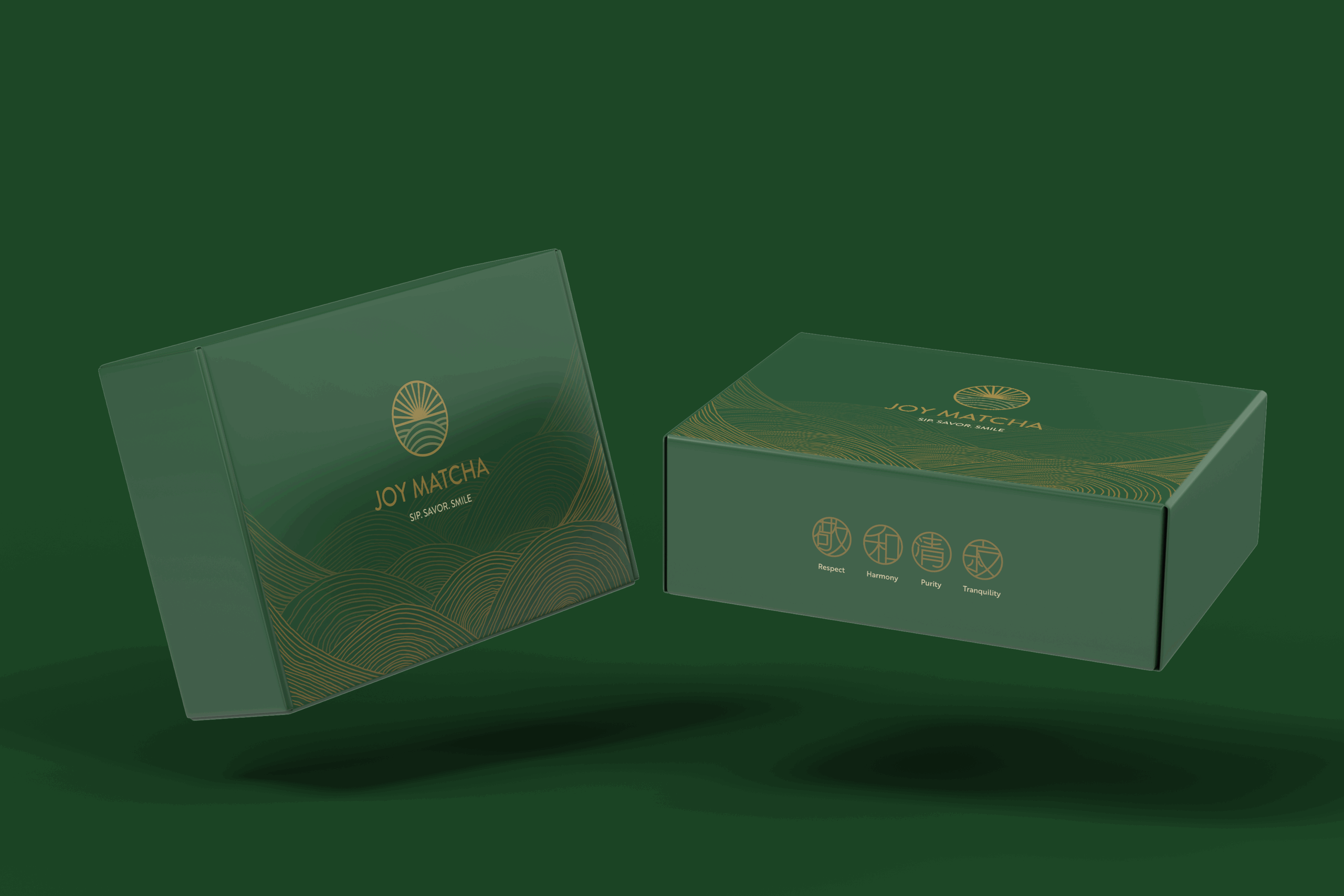 Box Mockup Vol 55