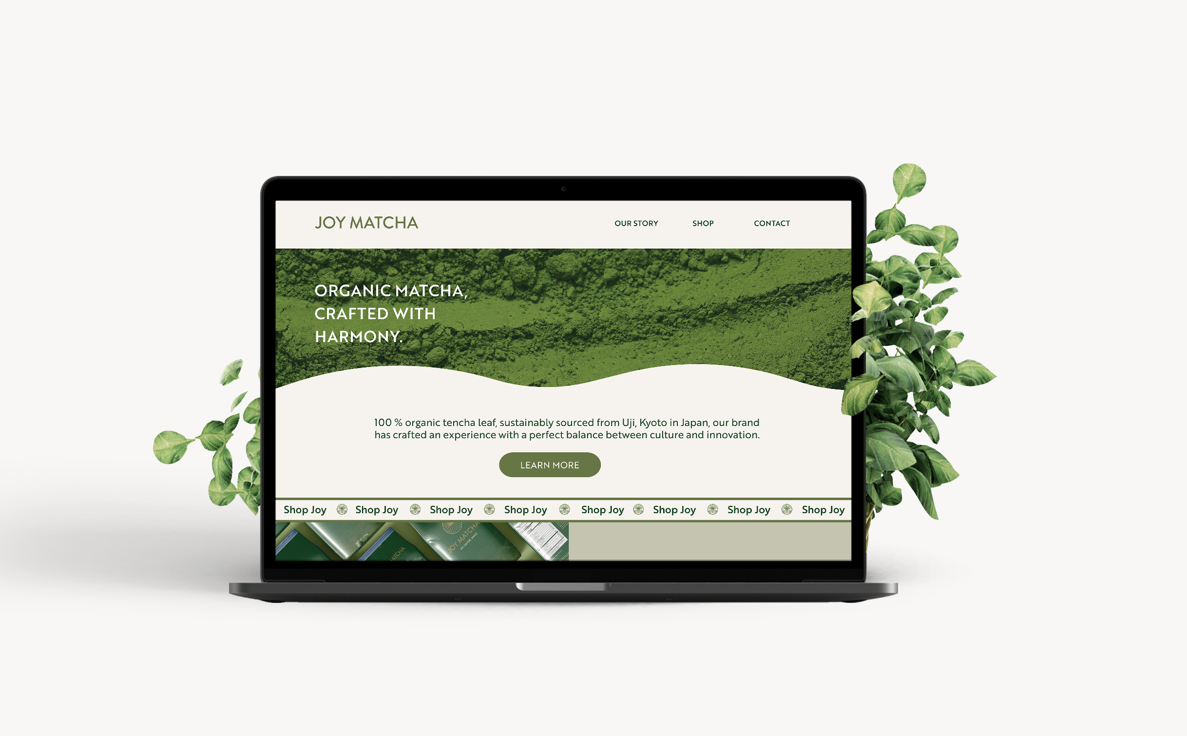 Laptop-Mockups